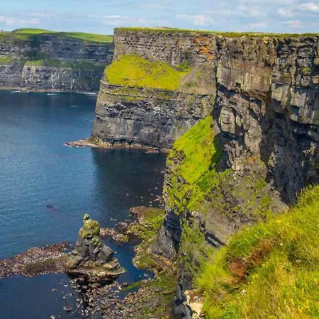 Mountain Aven Doolin