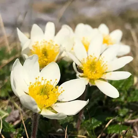 Pensjonat Mountain Aven Doolin