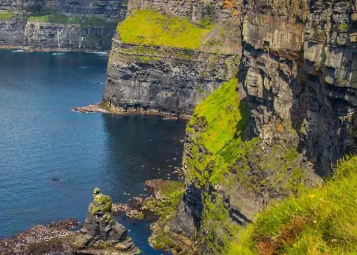 Mountain Aven Doolin